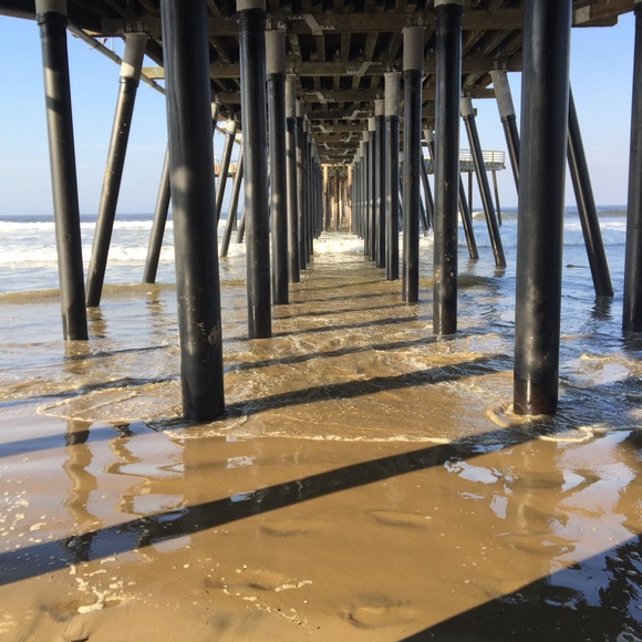 Meet your Posher, Amy - Picture 5 of 6